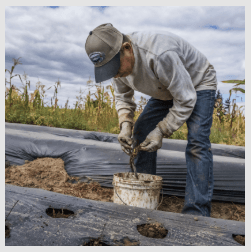 Occupational Health