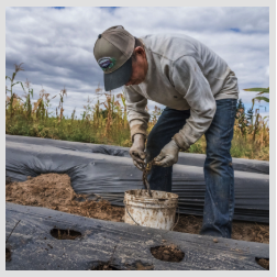 Occupational Health
