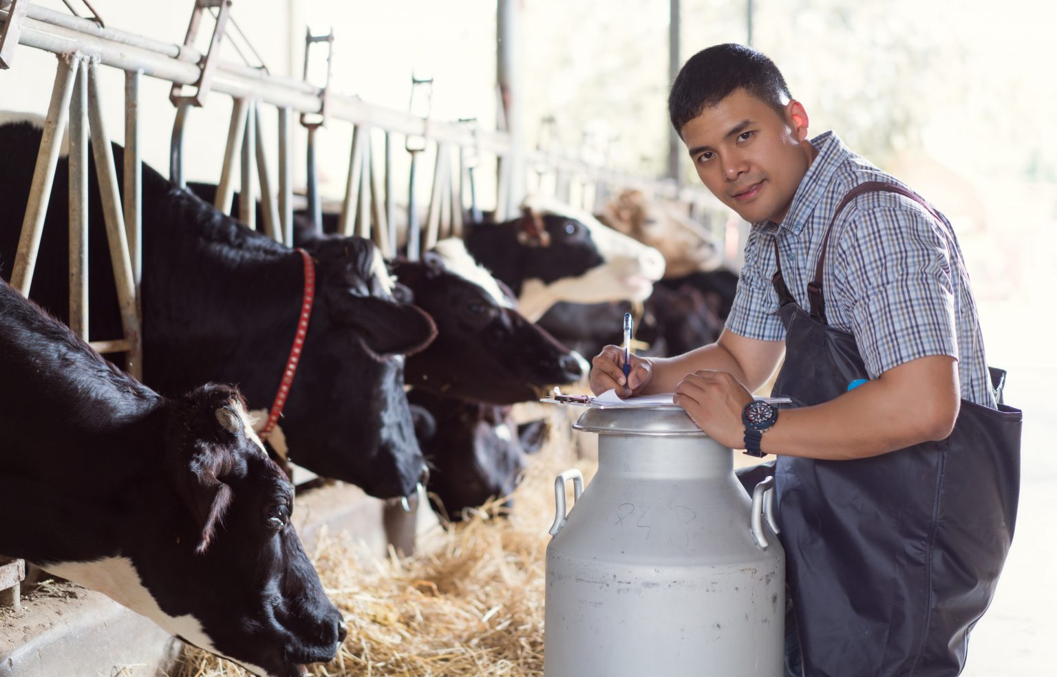 Dairy Safety Training Toolkit – Farmworker Justice